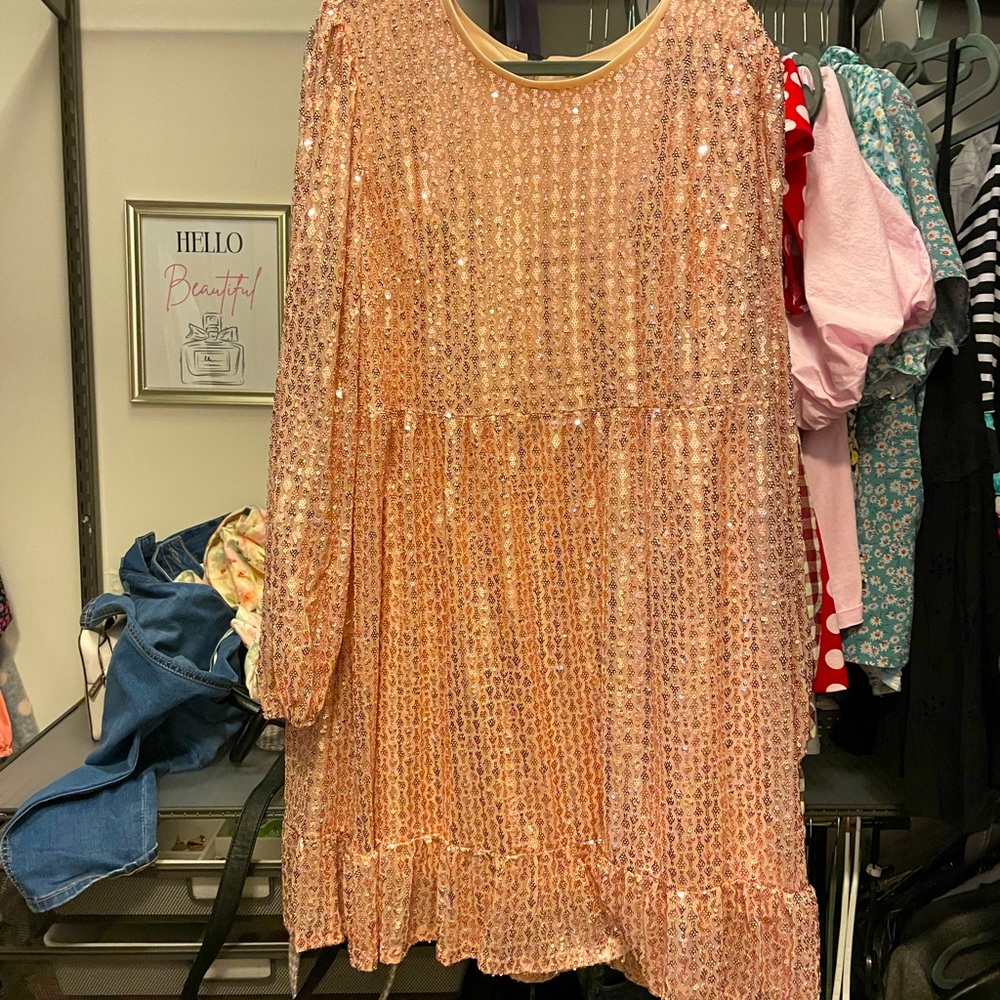 NWOT Pink Sequin Dress
